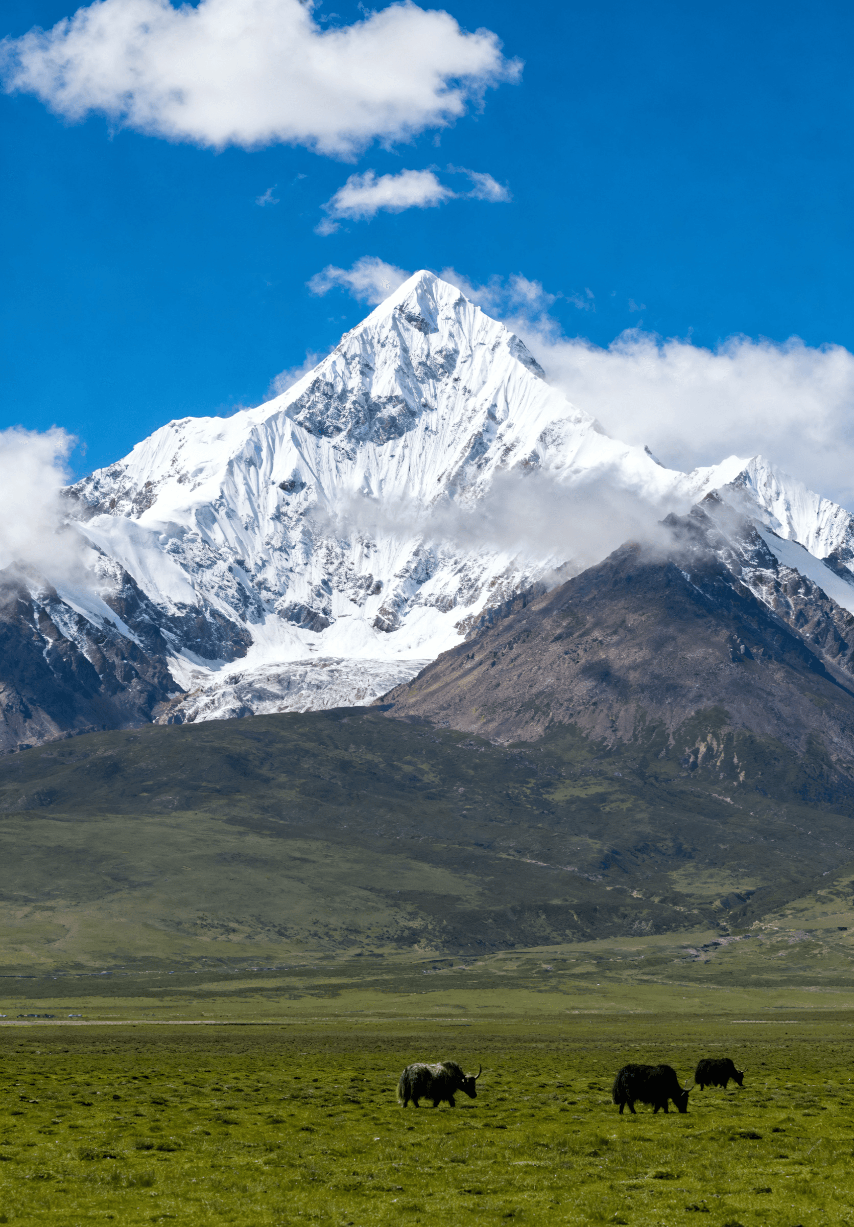 Featured AI Images